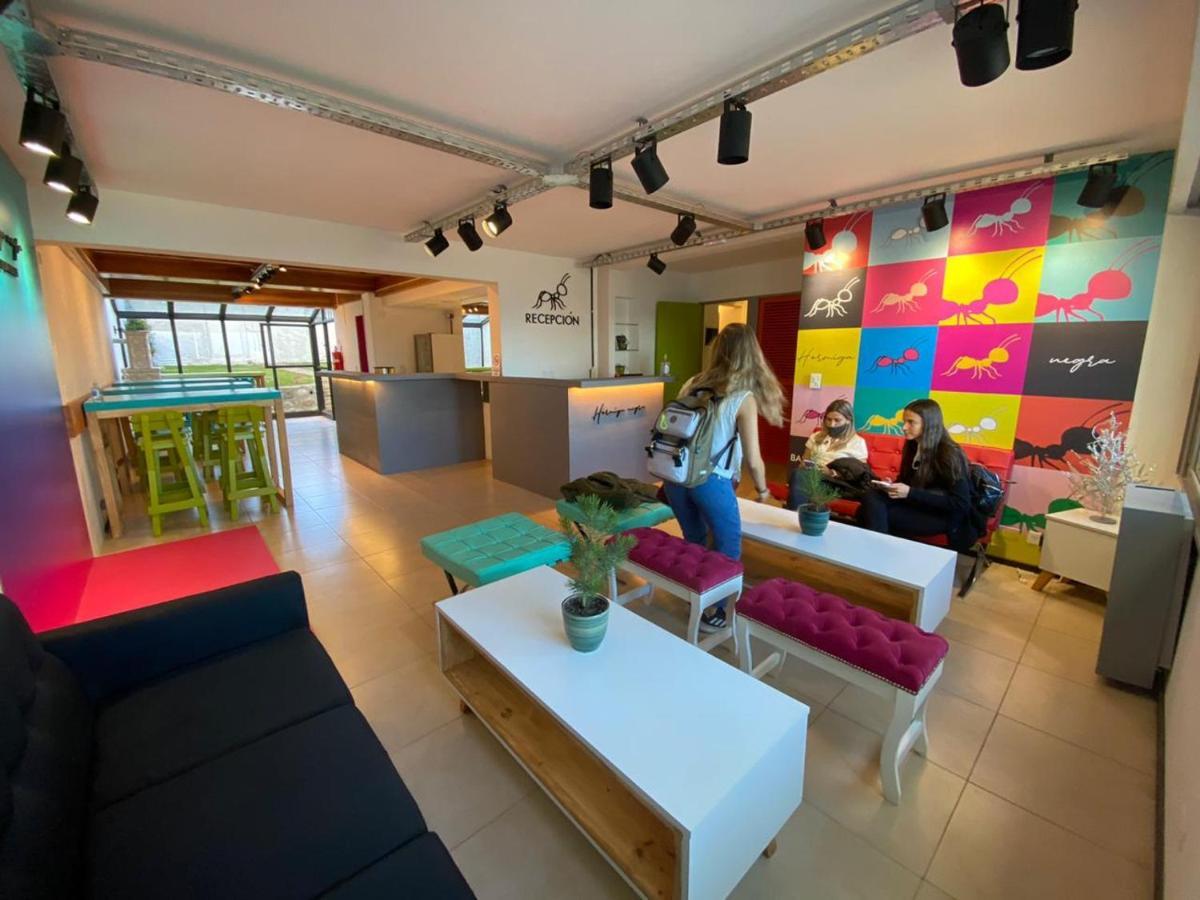 Hostel Hormiga Negra San Carlos de Bariloche Bagian luar foto